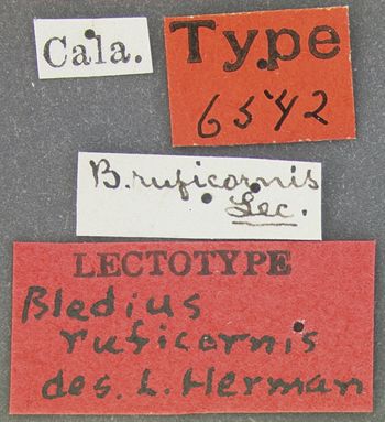 Media type: image;   Entomology 6542 Aspect: labels